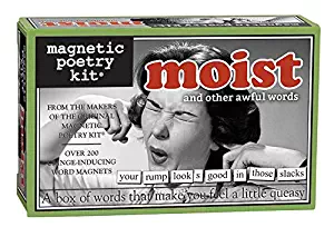 Magnetic Poetry - Moist Kit - Uncomfortable Words for Your Refrigerator - Write Poems and Letters on The Fridge - Made in The USA