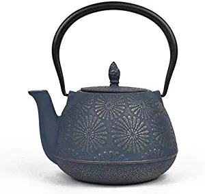 GONGFF Tea Pots Enamel Kettle Iron Pot 1 2 Liter Cast Iron Teapot Enamel 304 Stainless Steel Tea Leak