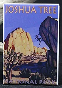 Joshua Tree National Park Travel Poster - Refrigerator Magnet.