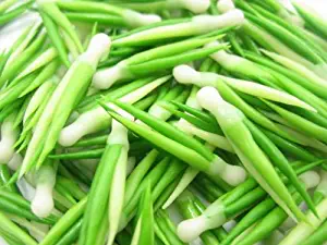 Lot 50 Spring Green Onion Vegetables Dollhouse Miniature Food Supply Charms 3944