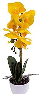 IMIEE Phaleanopsis Arrangement with Vase Decorative Artificial Orchid Flower Bonsai (Orange)