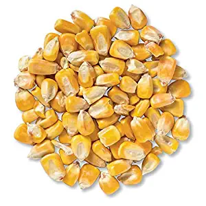 Whole Corn - 50 Lb. | Made in the USA