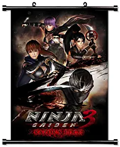 Ninja Gaiden Videogame Fabric Wall Scroll Poster (16" x 23") Inches