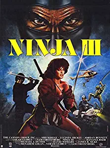 Pop Culture Graphics Ninja 3: The Domination Poster Movie C 11 x 17 Inches - 28cm x 44cm Shô Kosugi Lucinda Dickey Jordan Bennett David Chung Dale Ishimoto