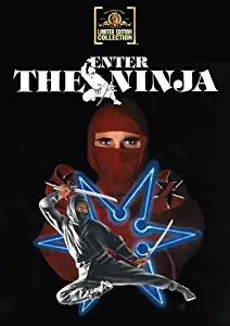 Enter The Ninja