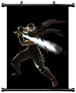 Ninja Gaiden Videogame Fabric Wall Scroll Poster (16" x 23") Inches