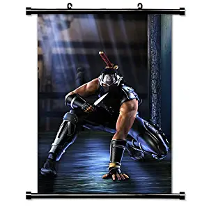 Ninja Gaiden Videogame Fabric Wall Scroll Poster (16" x 23") Inches