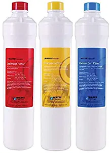 Watts Premier Annual 3 Pack Yearly Replacement Filter Set 1R-1Y-1B