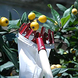 Home-organizer Tech Fruit Picker Package Useful Fruit Picker Pole Gardening Apple Pear Peach Picking Tools( Color in random may white, red, orange)