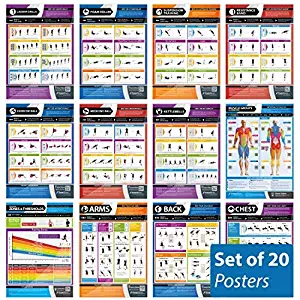 Muscle Building, Body Conditioning & Exercise Equipment Fitness Posters - Set of 20 Gym Workout Charts | Laminated Exercise Posters | Size - 33” x 23.5” | Video tutorials | Improves Personal Fitness