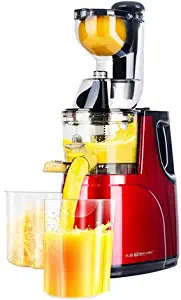 Multifunctional Automatic Fruit Juice Extractor Slag Separation Fruit and Vegetable Large Caliber Juicer Milkshake Machine Ice Cream Machine