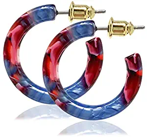 Tortoise Shell Hoop Earrings Small Resin Acrylic Acetate Hoops For Women Men 925 Sterling Silver Posts