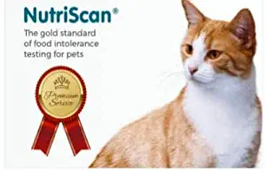 at-Home Pet Food Intolerance and Sensitivity Test for Cats