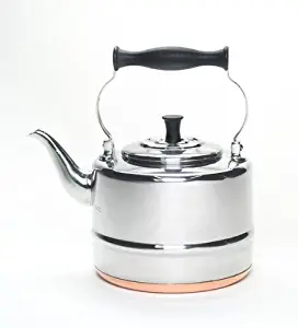 BonJour 53087 Stainless Steel Teakettle, 2-Quart