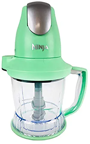 Ninja Storm Master Prep Food Processor Blender Powerful One Touch 450W Motor Pod BPA-Free Pitcher Dishwasher Safe QB751Q (Renewed) (Mint)